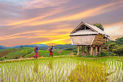 Thailand Avanti Thailand Avanti